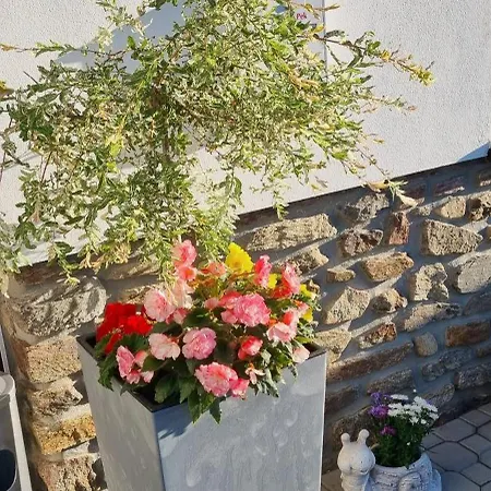 Konukevi Pek Kubova Huť