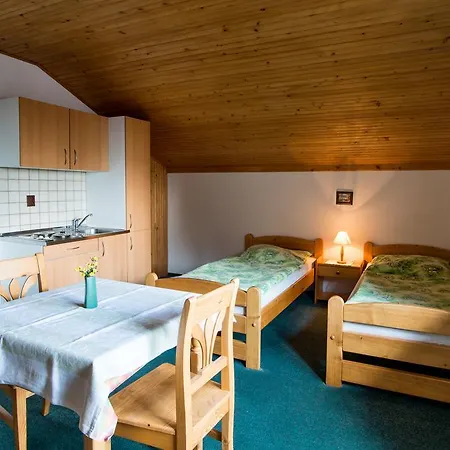 Guest house Pek 3*