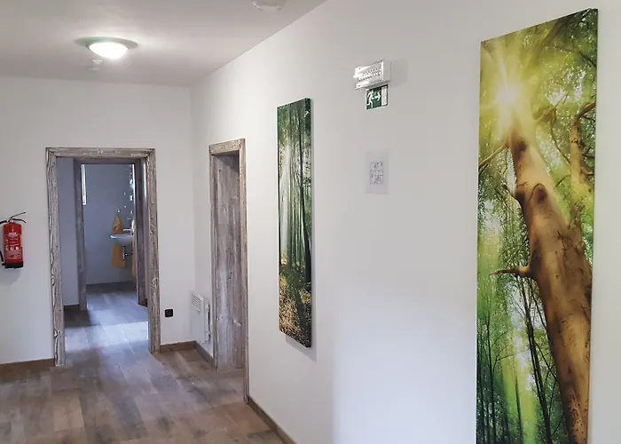 Pek Guest house 3*