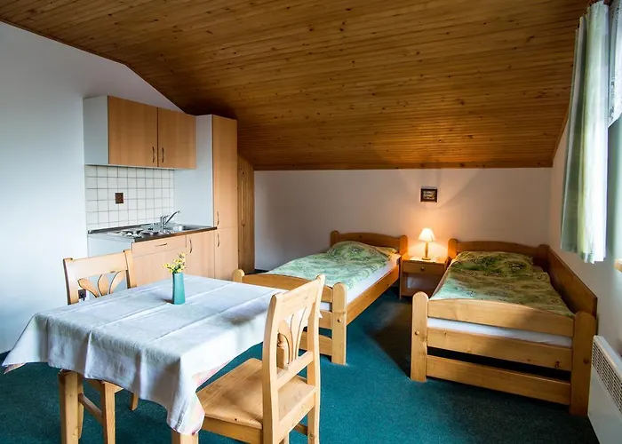 Guest house Pek 3*